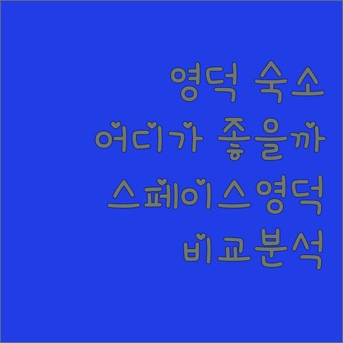 영덕 여행, 어디서 묵을까? 스페이스 영덕 vs 숨겨진 명소 숙소 비교 분석!