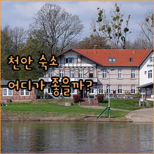 천안 상록리조트 vs 소노벨 vs 브라운도트! 😎 내돈내산 솔직 후기 & 꿀팁 대방출 🍯