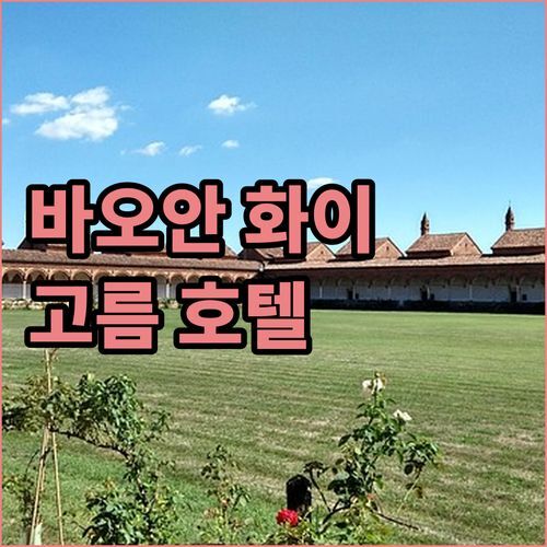 바오안 화이 호텔 vs 고름 호텔, 선전 출장🏨 어디가 좋을까? 꼼꼼 비교!