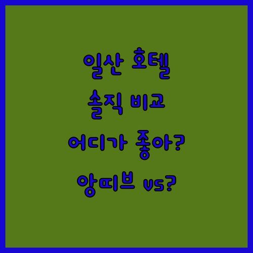 일산 앙띠브 호텔 vs 로젠하임 vs 마리나베이 서울 어디가 좋을까? 솔직 비교!