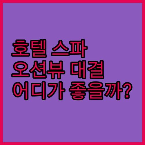 디그니티호텔, 럭셔리 스파 VS 오션뷰! 당신의 선택은?
