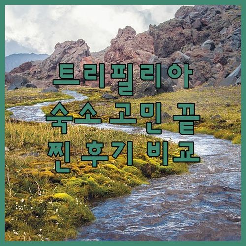 트리필리아 숙소 고민 끝! 아르티나 누오보 실제 투숙객 후기 비교 분석