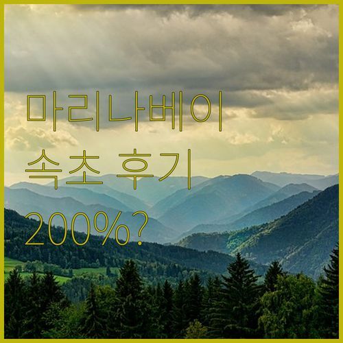 마리나베이 속초, 재방문 의사 200%? 솔직 투숙 후기 대방출!