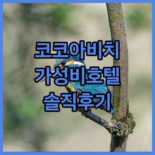코코아 비치🌴 가성비 호텔 맞아? 실제 숙박 후기 대방출!
