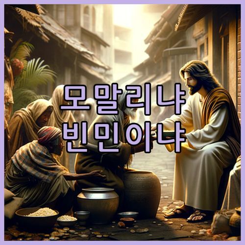 모말리 호텔 닌빈🏨 vs 빈 민 호텔 닌빈! 🧐 내 여행 스타일에 딱 맞는 곳은?