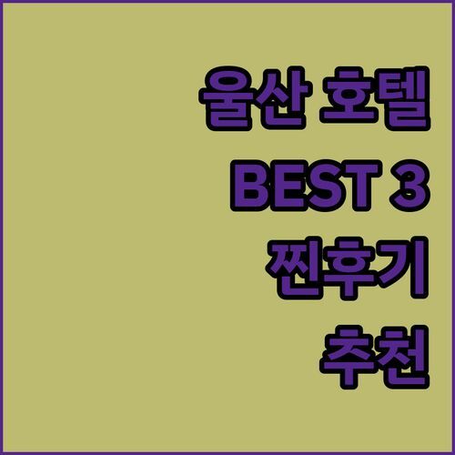 울산 호텔 고민 끝!🏨 라온, 스타즈, 공담, 내돈내산 비교 분석 & 추천
