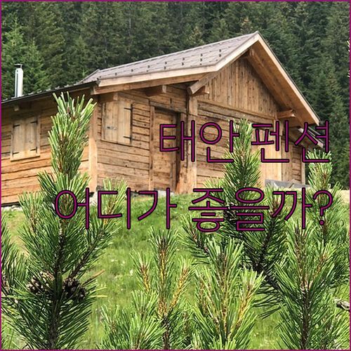 태안 펜션 어디가 좋을까? 킴스베이 vs 만리포 필호텔 실제 후기 비교!