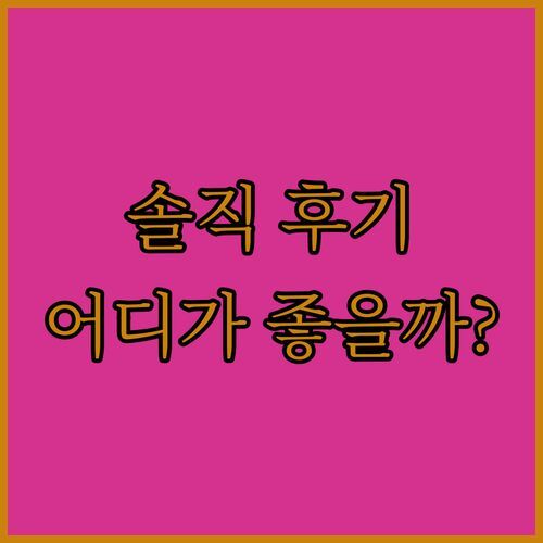 솔직 후기! 평창 더화이트뷰 vs 웰리힐리파크, 당신의 선택은?
